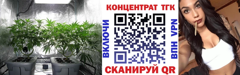 МЕГА сайт Навашино ТГК концентрат
