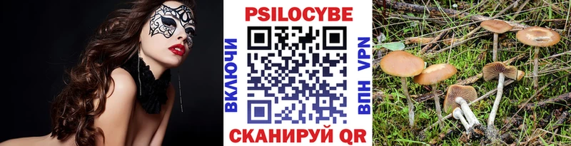 Псилоцибиновые грибы GOLDEN TEACHER  МЕГА как зайти  Навашино 